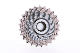 Global Cycling Club Campag Coaster